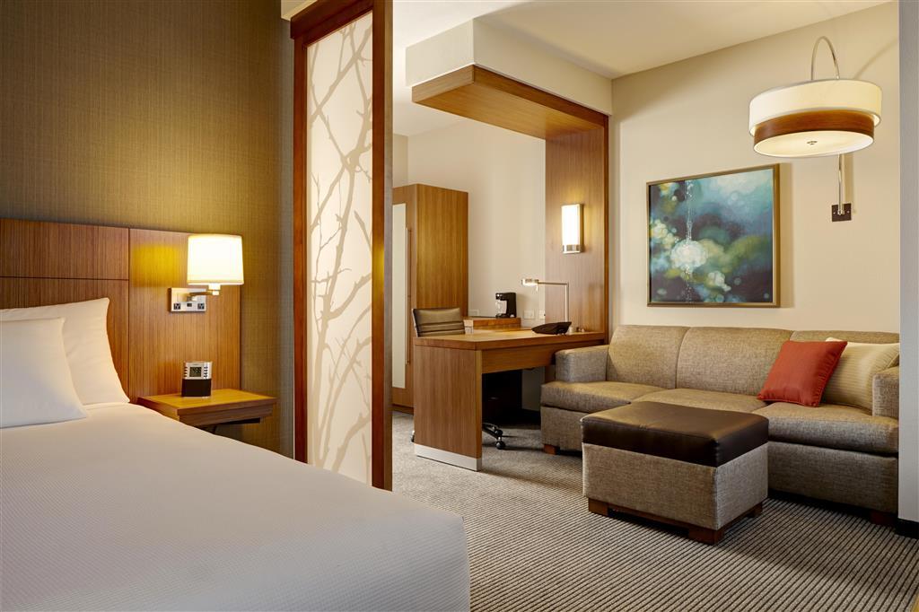 Hyatt Place Columbia/Downtown/The Vista Номер фото